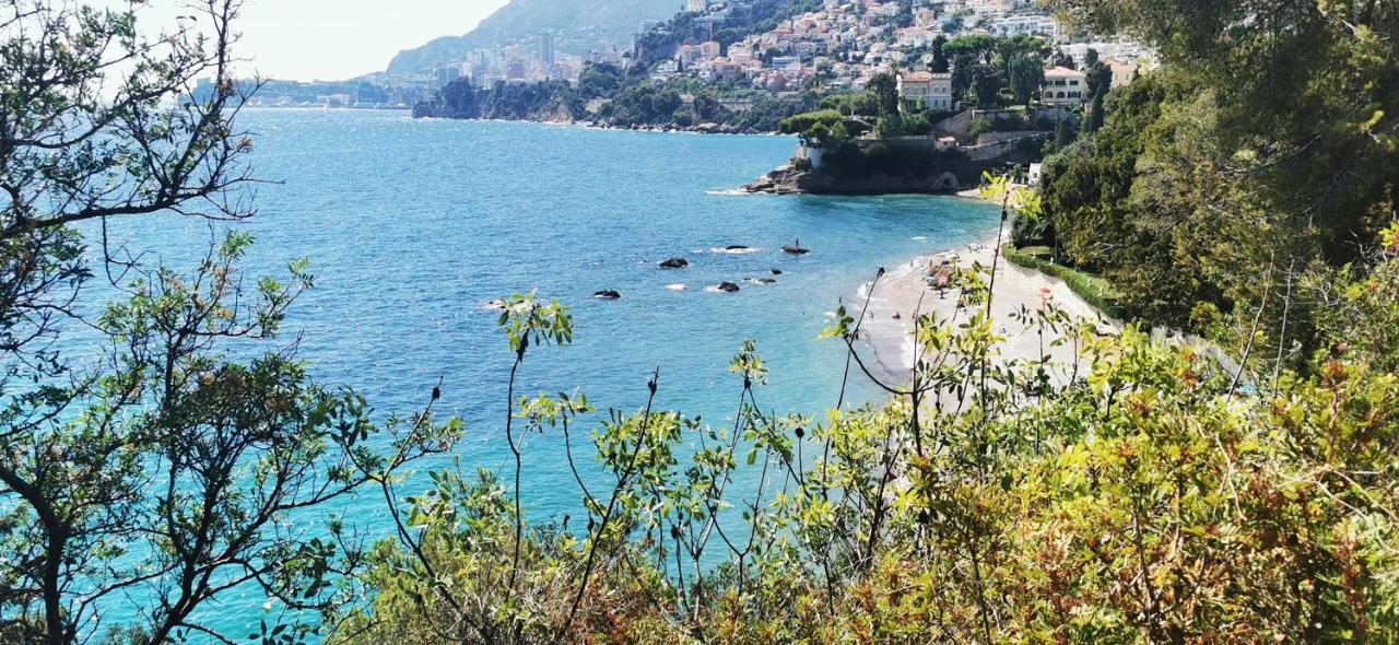 Vue Magnifique, Piscine Privee Chauffee Et Sauna A 10Min De Monaco Roquebrune-Cap-Martin Exterior photo